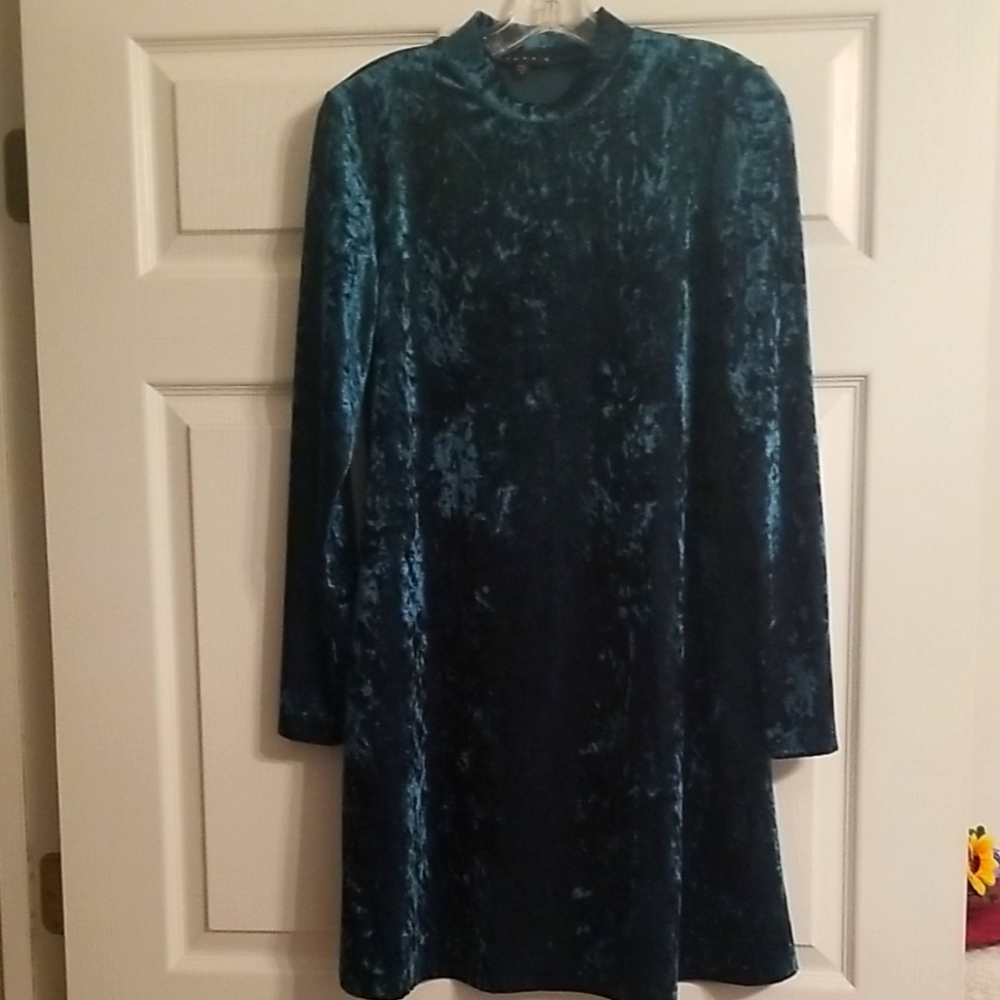 Tiana B. ,velvet green dress,size 6